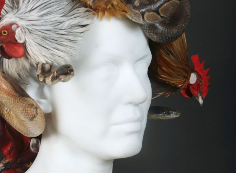Medusa, Koen Vanmechelen
