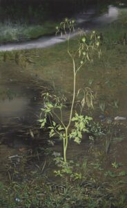 Olphaert den Otter