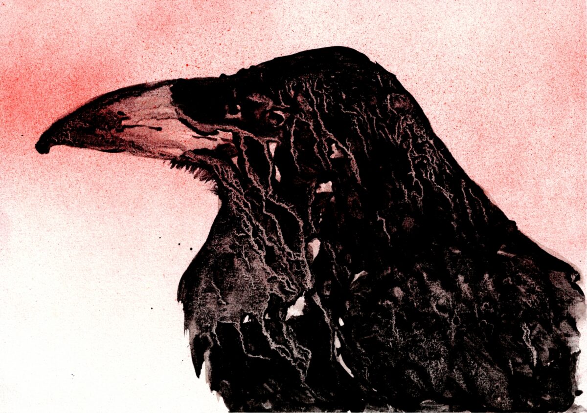 Bird painting